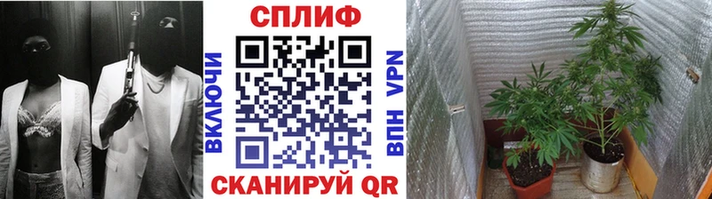 Бошки Шишки LSD WEED как найти omg как зайти Лахденпохья
